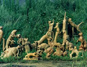 百姿勢の猫の木彫りの猫　wood carved cat of 100 posture cats